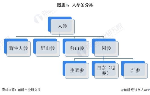 预见2024 2024年中国人参行业全景图谱 附市场现状 竞争格局和发展趋势等